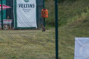 Bild 620 - Horst Schroeder Pokal 3. Tag